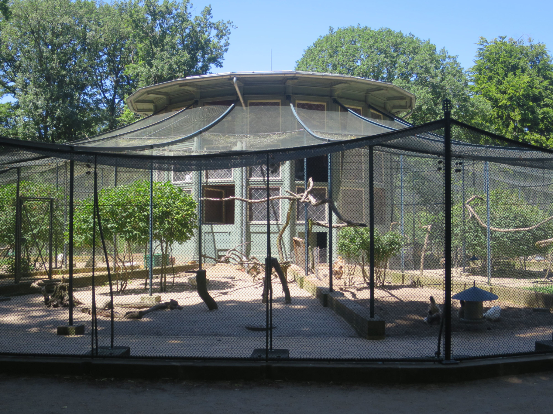 Grunewald 23